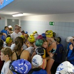 11.10.2014 Zawody pływackie Gdyńskie Delfinarium