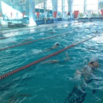 18-19.04.2015r. VIII Ogólnopolskie Zawody Pływackie NORDA SWIM 2015